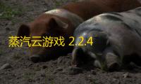 蒸汽云游戏 2.2.4 官方版